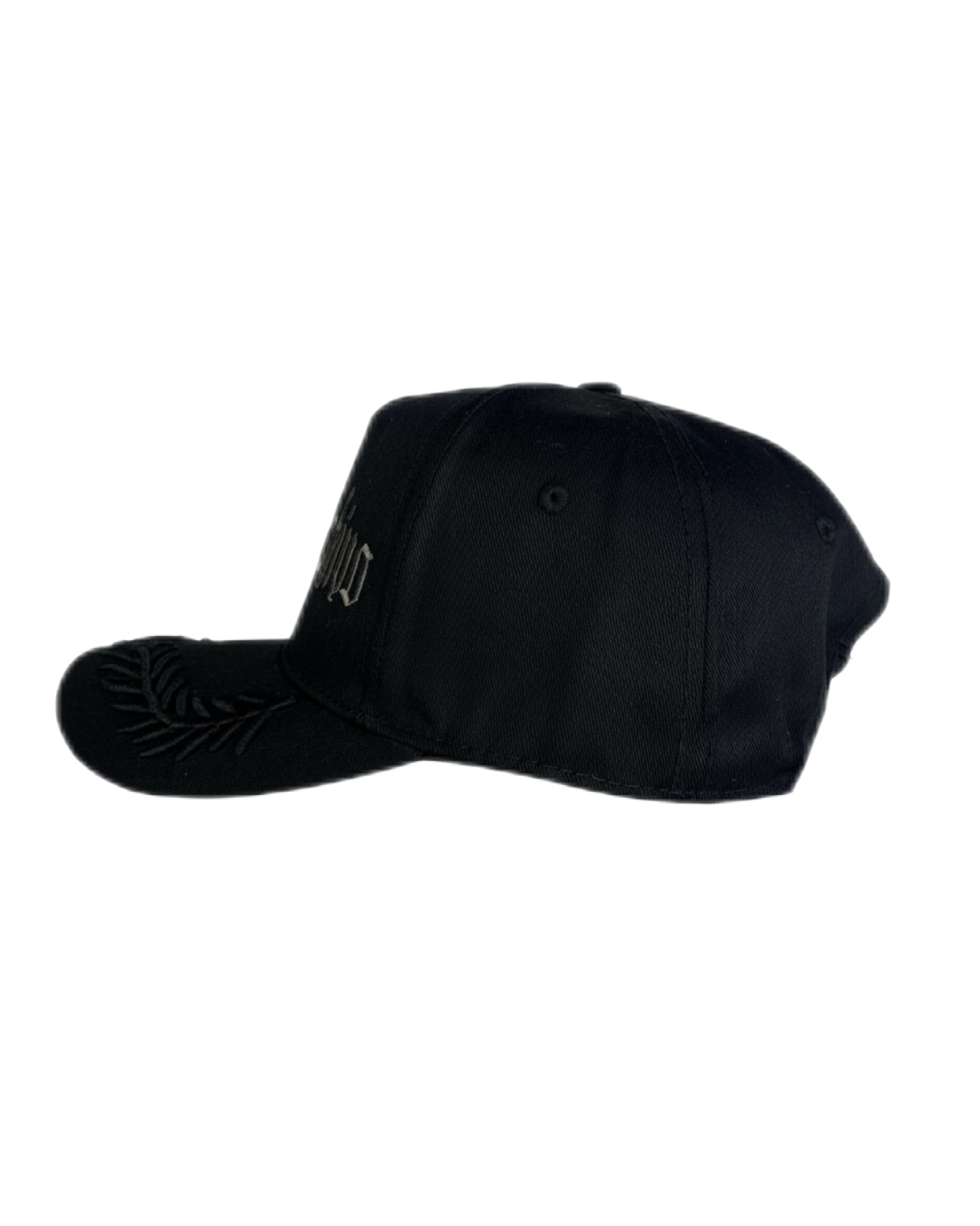 GORRA CUERNO DE CHIVO | Snapback Visera Semicurva