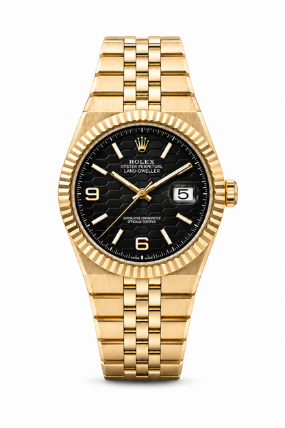 LAND-DWELLER BLACK & GOLD
