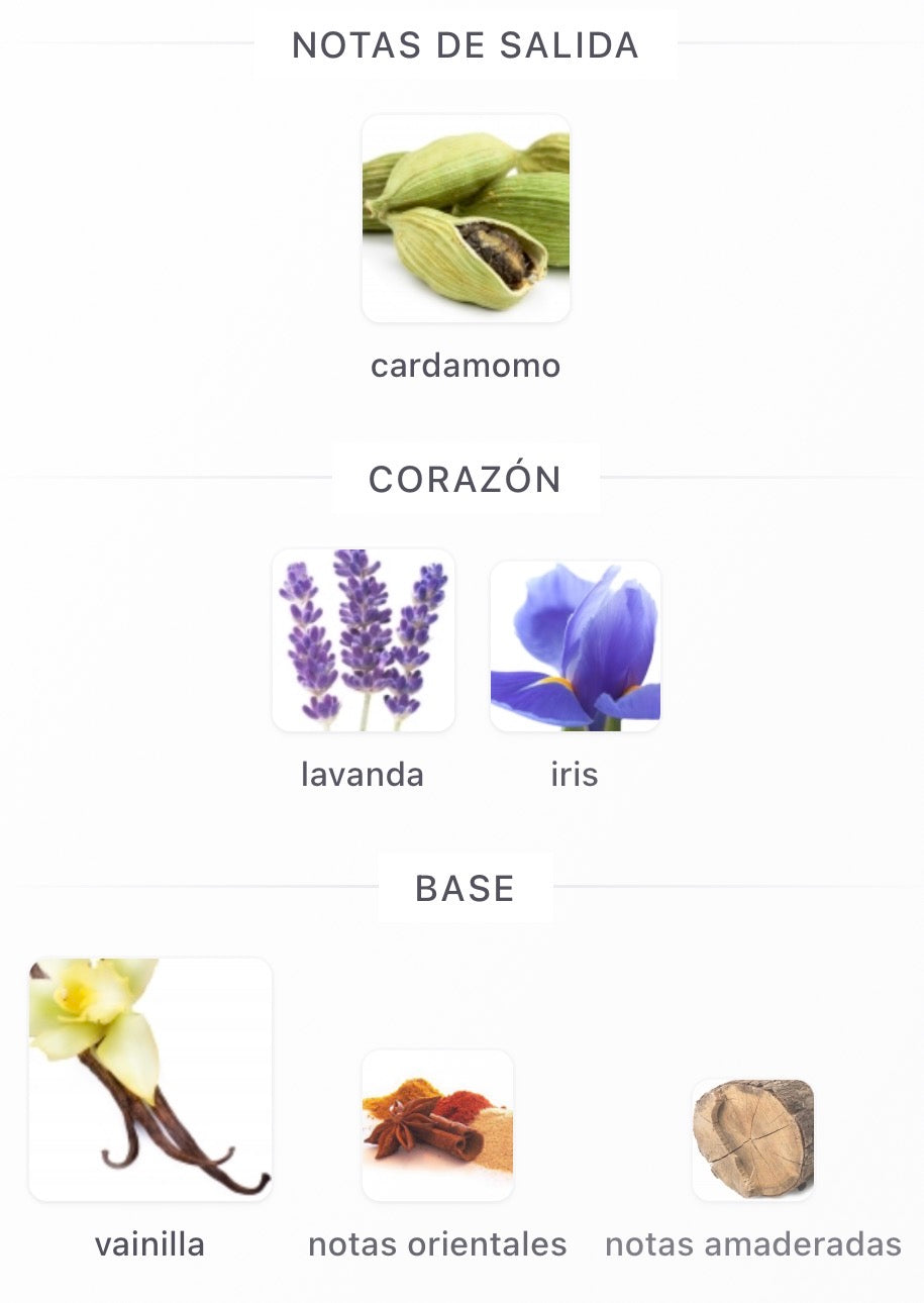 Le Male le Parfum