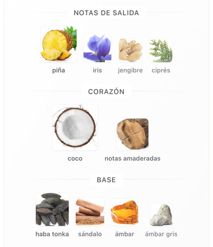 Le Beau le Parfum